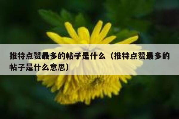 推特点赞最多的帖子是什么（推特点赞最多的帖子是什么意思） 第1张