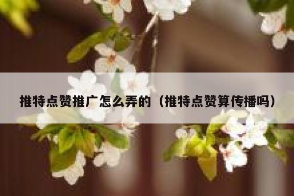 推特点赞推广怎么弄的（推特点赞算传播吗） 第1张