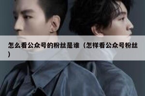 怎么看公众号的粉丝是谁（怎样看公众号粉丝） 第1张