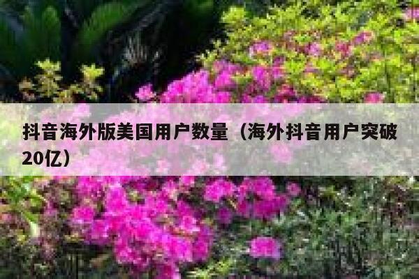 抖音海外版美国用户数量（海外抖音用户突破20亿） 第1张
