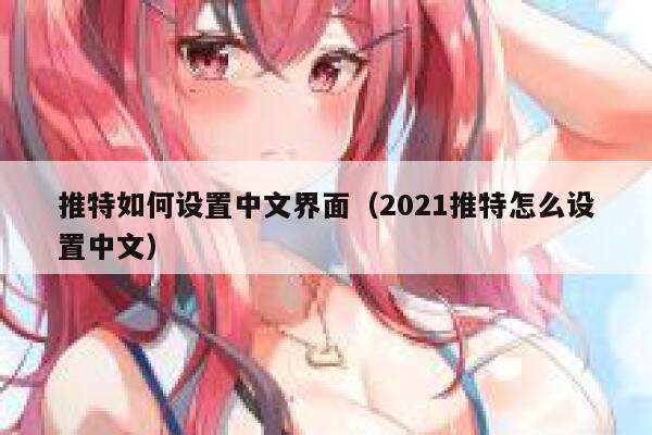 推特如何设置中文界面（2021推特怎么设置中文） 第1张