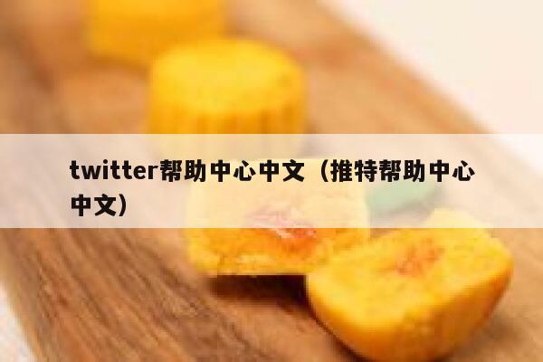 twitter帮助中心中文（推特帮助中心中文） 第1张