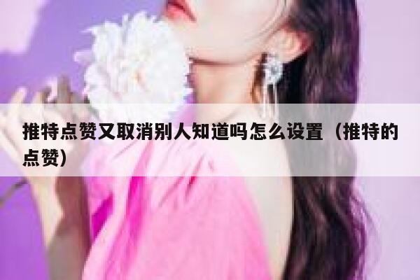 推特点赞又取消别人知道吗怎么设置（推特的点赞） 第1张