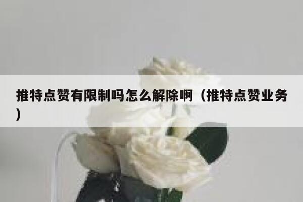 推特点赞有限制吗怎么解除啊（推特点赞业务） 第1张