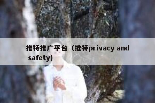 推特推广平台（推特privacy and safety） 第1张