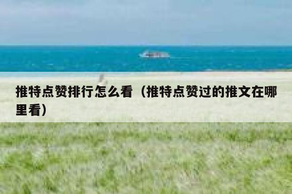 推特点赞排行怎么看（推特点赞过的推文在哪里看） 第1张