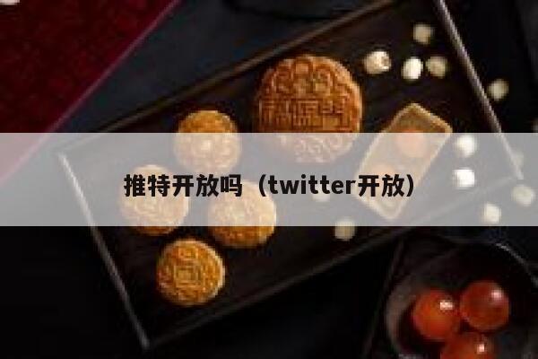 推特开放吗（twitter开放） 第1张
