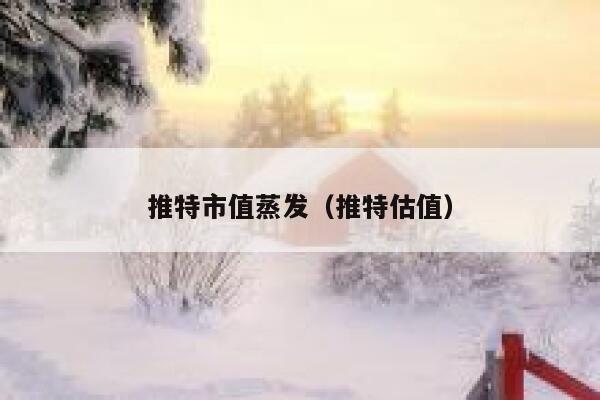 推特市值蒸发（推特估值） 第1张