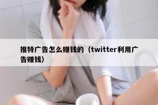 推特广告怎么赚钱的（twitter利用广告赚钱） 第1张