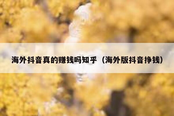 海外抖音真的赚钱吗知乎（海外版抖音挣钱） 第1张