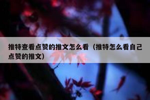 推特查看点赞的推文怎么看（推特怎么看自己点赞的推文） 第1张