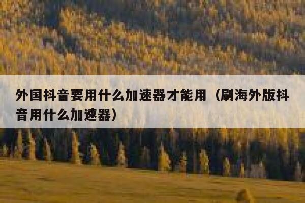 外国抖音要用什么加速器才能用（刷海外版抖音用什么加速器） 第1张