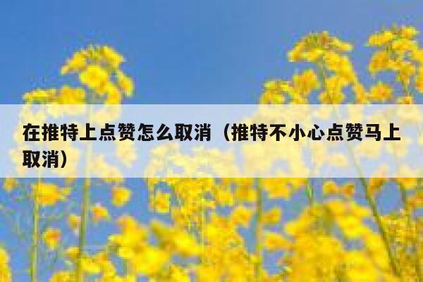 在推特上点赞怎么取消（推特不小心点赞马上取消） 第1张