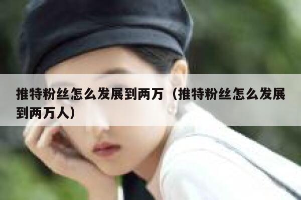 推特粉丝怎么发展到两万（推特粉丝怎么发展到两万人） 第1张