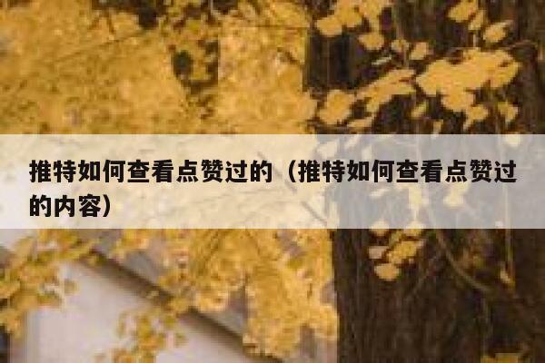 推特如何查看点赞过的（推特如何查看点赞过的内容） 第1张