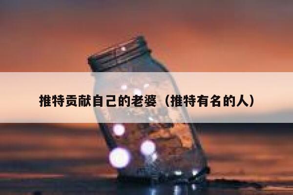 推特贡献自己的老婆（推特有名的人） 第1张