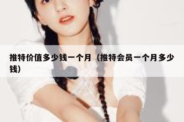 推特价值多少钱一个月（推特会员一个月多少钱） 第1张