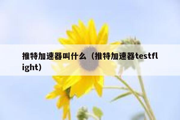 推特加速器叫什么（推特加速器testflight） 第1张