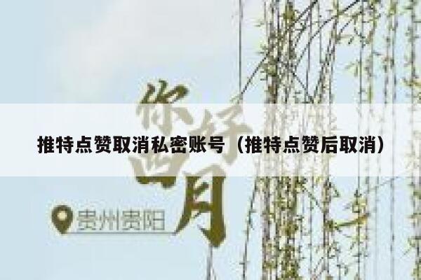 推特点赞取消私密账号（推特点赞后取消） 第1张