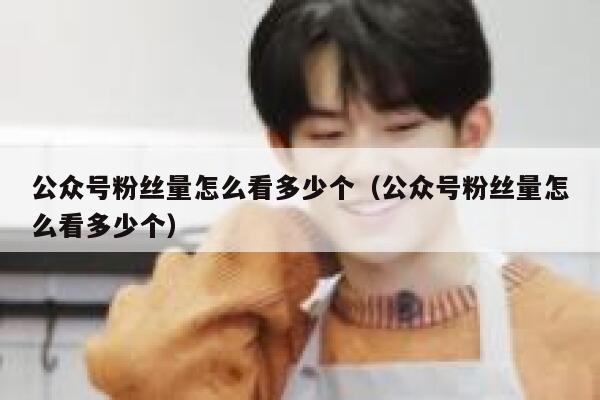 公众号粉丝量怎么看多少个（公众号粉丝量怎么看多少个） 第1张