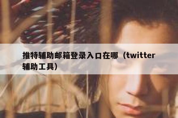 推特辅助邮箱登录入口在哪（twitter辅助工具） 第1张