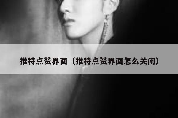 推特点赞界面（推特点赞界面怎么关闭） 第1张