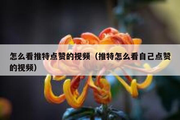怎么看推特点赞的视频（推特怎么看自己点赞的视频） 第1张
