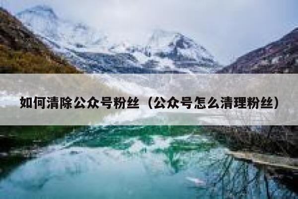 如何清除公众号粉丝（公众号怎么清理粉丝） 第1张