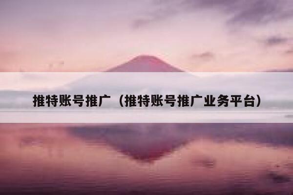 推特账号推广（推特账号推广业务平台） 第1张