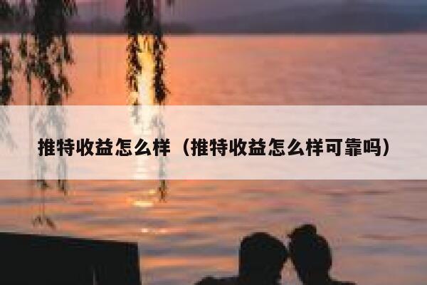 推特收益怎么样（推特收益怎么样可靠吗） 第1张