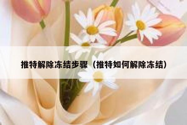 推特解除冻结步骤（推特如何解除冻结） 第1张