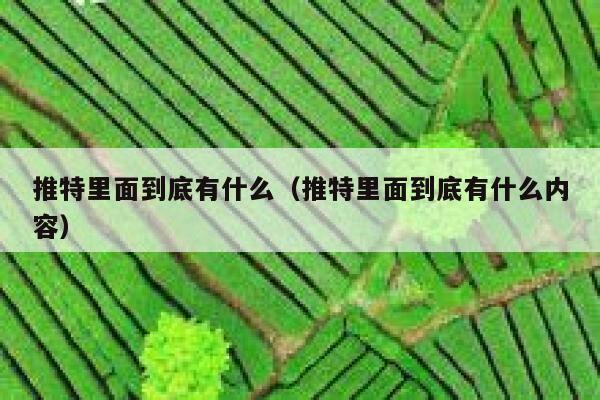 推特里面到底有什么（推特里面到底有什么内容） 第1张