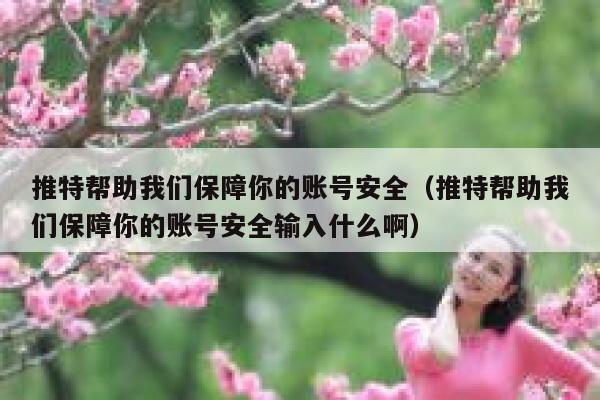 推特帮助我们保障你的账号安全（推特帮助我们保障你的账号安全输入什么啊） 第1张