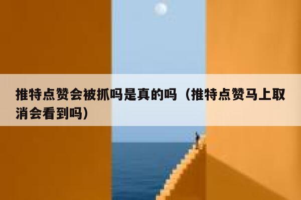 推特点赞会被抓吗是真的吗（推特点赞马上取消会看到吗） 第1张