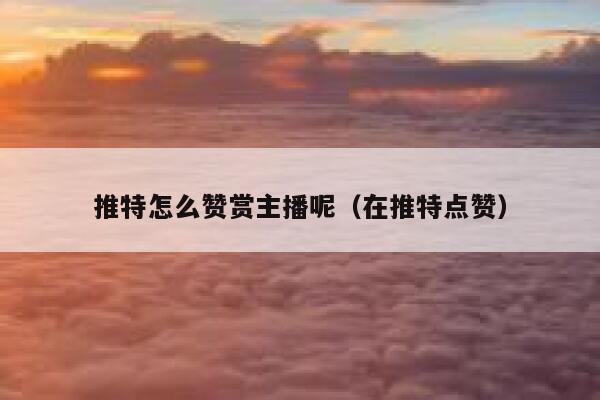 推特怎么赞赏主播呢（在推特点赞） 第1张