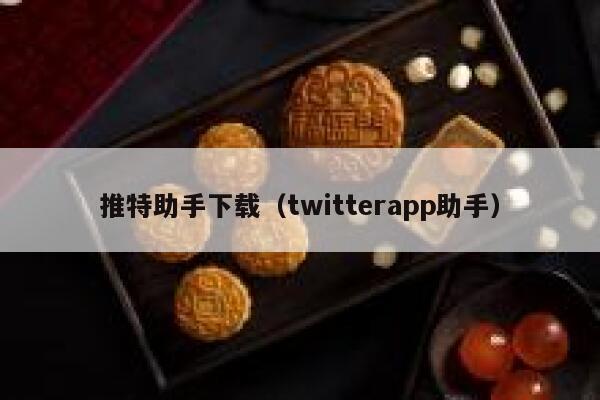 推特助手下载（twitterapp助手） 第1张