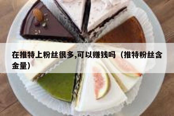 在推特上粉丝很多,可以赚钱吗（推特粉丝含金量） 第1张