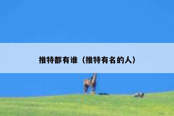 推特都有谁（推特有名的人） 第1张
