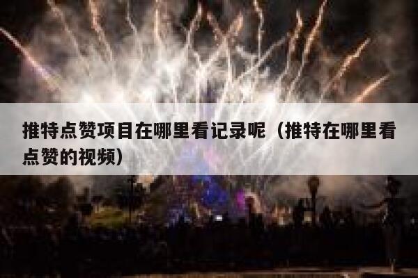 推特点赞项目在哪里看记录呢（推特在哪里看点赞的视频） 第1张