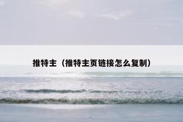 推特主（推特主页链接怎么复制） 第1张