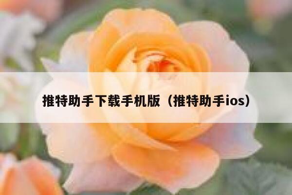 推特助手下载手机版（推特助手ios） 第1张