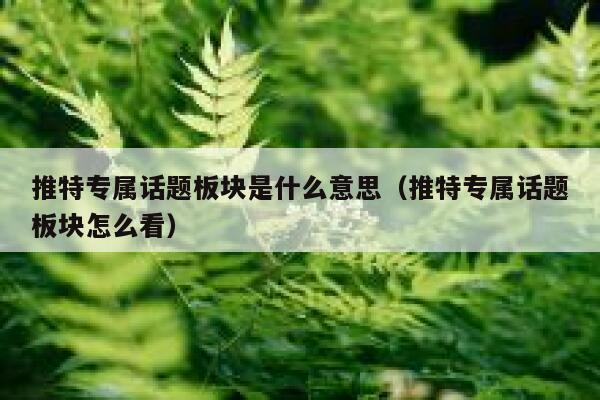 推特专属话题板块是什么意思（推特专属话题板块怎么看） 第1张