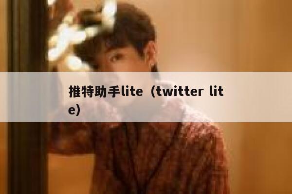 推特助手lite（twitter lite） 第1张