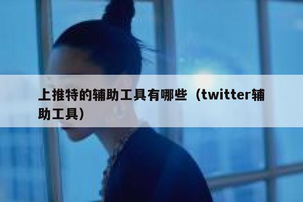上推特的辅助工具有哪些（twitter辅助工具） 第1张