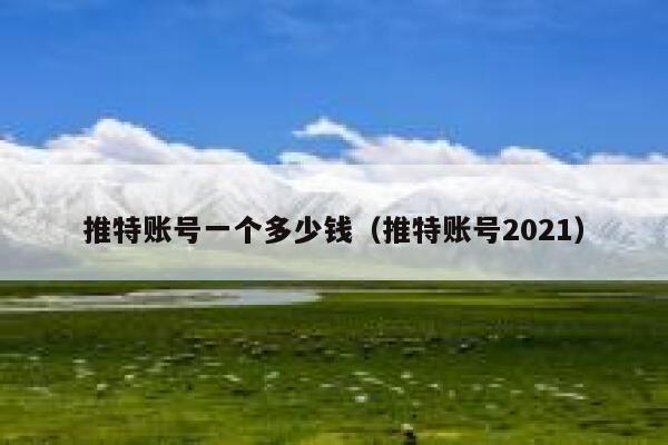推特账号一个多少钱（推特账号2021） 第1张