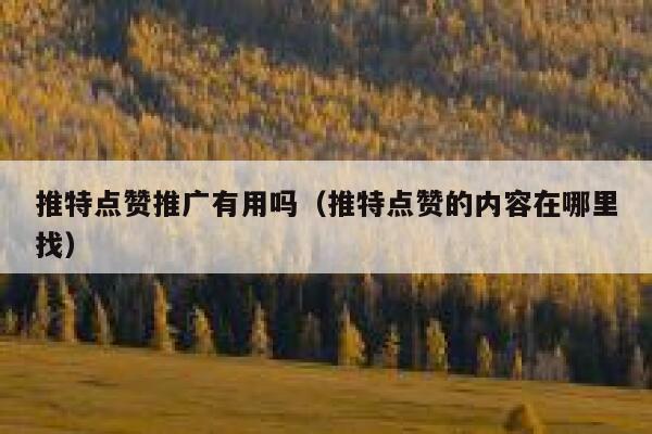 推特点赞推广有用吗（推特点赞的内容在哪里找） 第1张