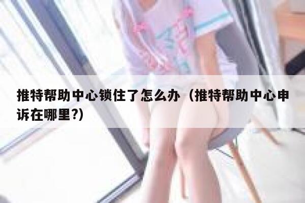 推特帮助中心锁住了怎么办（推特帮助中心申诉在哪里?） 第1张