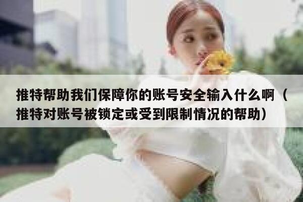 推特帮助我们保障你的账号安全输入什么啊（推特对账号被锁定或受到限制情况的帮助） 第1张
