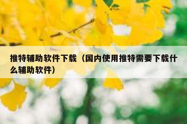 推特辅助软件下载（国内使用推特需要下载什么辅助软件） 第1张