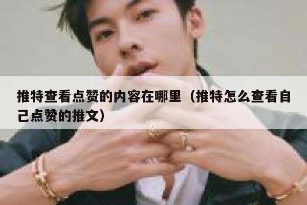 推特查看点赞的内容在哪里（推特怎么查看自己点赞的推文） 第1张
